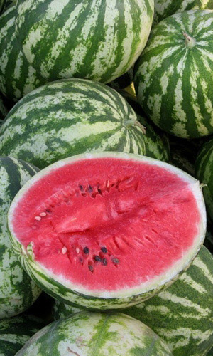 Арбуз АСТРАХАНСКИЙ