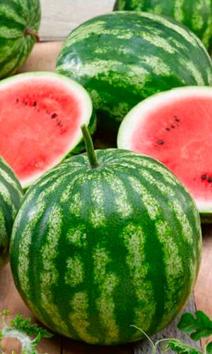 Арбуз ЧЕЛЯБИНСКИЙ МЕТЕОРИТ