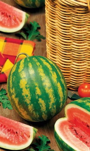 Арбуз МЕЛИТОПОЛЬСКИЙ 142 &mdash; Хорошо растёт в северных регионах! Мякоть нежная, сладкая и очень сочная! Устойчив к болезням!