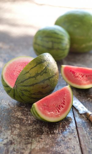 Арбуз ПАМЯТЬ ХОЛОДОВА