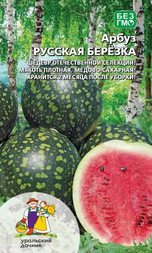 Арбуз РУССКАЯ БЕРЁЗКА