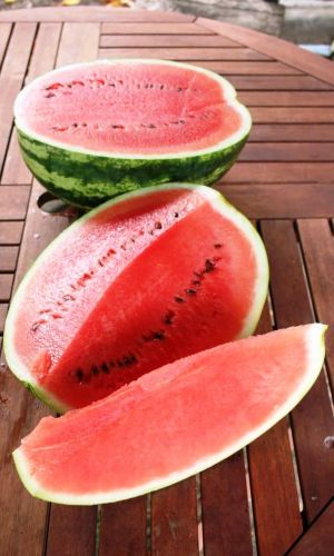 Арбуз САХАРНЫЕ УСТА