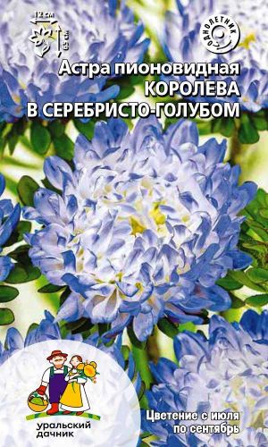 Астра КОРОЛЕВА В СЕРЕБРИСТО-ГОЛУБОМ