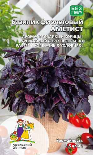 Базилик АМЕТИСТ