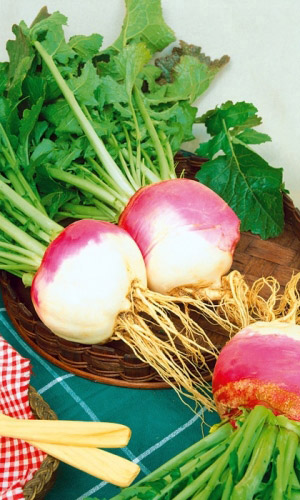 Брюква РУССКАЯ ДЕСЕРТНАЯ