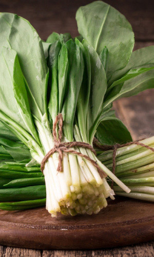 Черемша МЕДВЕЖИЙ ЛУК