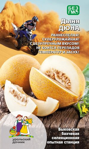 Дыня ДЮНА