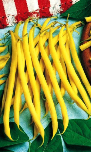 Фасоль НЕЖЕНКА