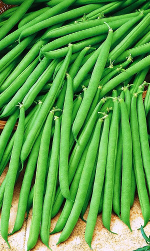 Фасоль САКСА БЕЗ ВОЛОКНА 615