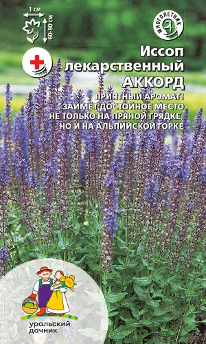 Иссоп АККОРД &mdash; Приятный аромат! Займёт достойное место не только на пряной грядке, но и на альпийской горке!