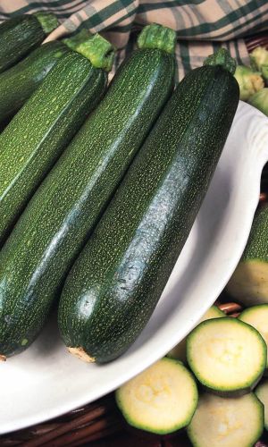 Кабачок цуккини АЭРОНАВТ &mdash; Урожайный раннеспелый сорт! Отлично подходит для фарширования!