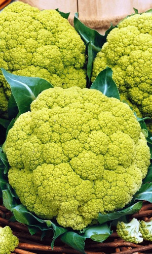 Капуста цветная ГРИН МАЦЕРАТА