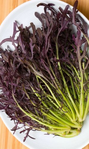 Капуста японская МИЗУНА КРАСНАЯ