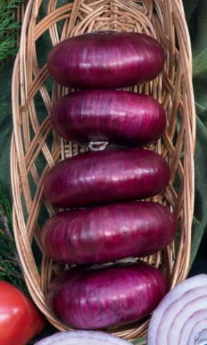 Лук репчатый СЛАДКИЙ КРЫМ