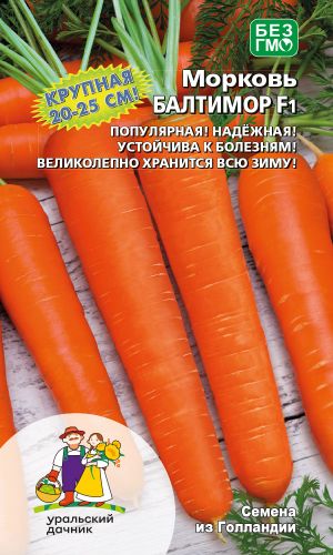 Морковь БАЛТИМОР F1 &mdash; Крупная, до 20-25 см! Популярная! Надёжная! Устойчива к болезням и вредителям!