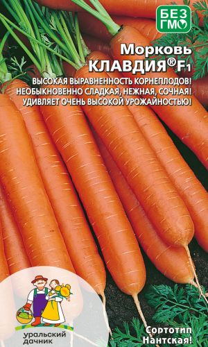 Морковь КЛАВДИЯ F1 &mdash; Высокая выравненность корнеплодов! Необыкновенно сладкая, нежная, сочная! Удивляет очень высокой урожайностью!