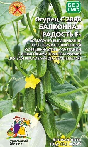 Огурец БАЛКОННАЯ РАДОСТЬ F1
