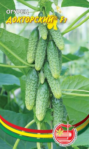 Огурец ДОКТОРСКИЙ® F1