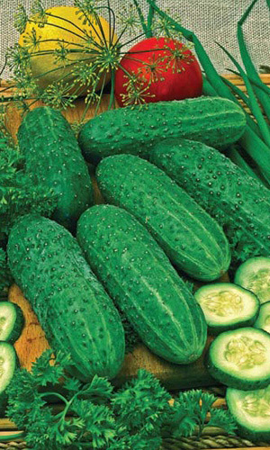 Огурец ХИТ СЕЗОНА F1