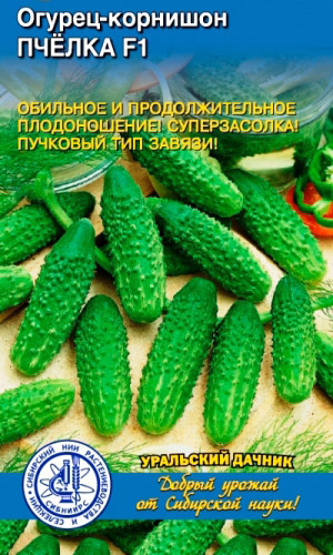 Огурец ПЧЁЛКА F1 &mdash; Как трудолюбивая пчёлка, плодоносит обильно и длительно! Суперзасолка! Пучковый тип завязи!