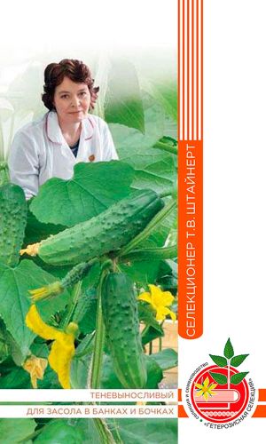 Огурец ВАШЕ БЛАГОРОДИЕ F1 коллекция Татьяны Штайнерт