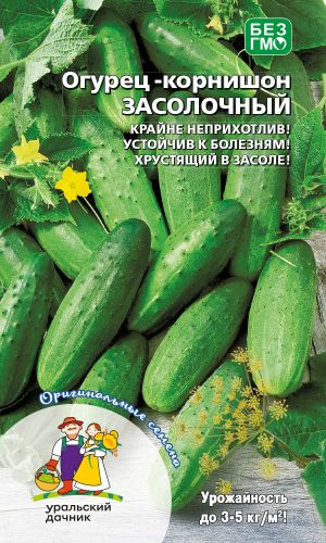 Огурец ЗАСОЛОЧНЫЙ &mdash; Неприхотливый! Устойчив к болезням! Хрустящий в засоле!
