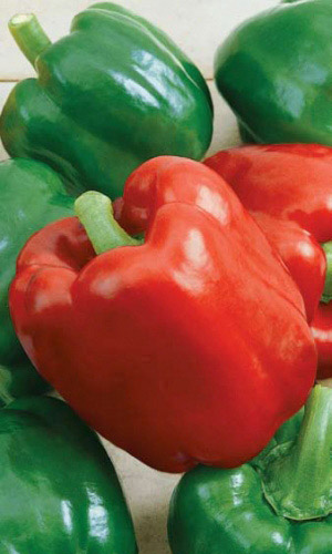 Перец ГЕРАКЛ &mdash; Силён как мифический герой!