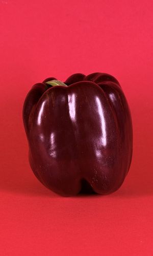 Перец ГИГАНТ ШОКОЛАДНЫЙ F1