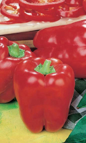 Перец КРЕПЫШ