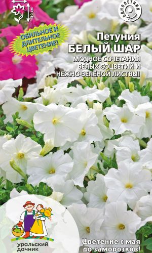 Петуния БЕЛЫЙ ШАР &mdash; Обильное и длительное цветение! Модное сочетание белых соцветий и нежно-зелёной листвы!