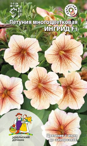 Петуния ИНГРИД F1 &mdash; Многоцветковая!