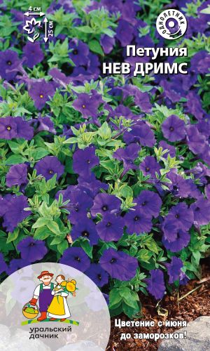 Петуния НЕВ ДРИМС