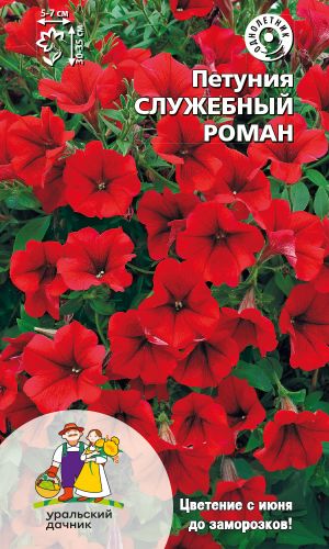 Петуния СЛУЖЕБНЫЙ РОМАН