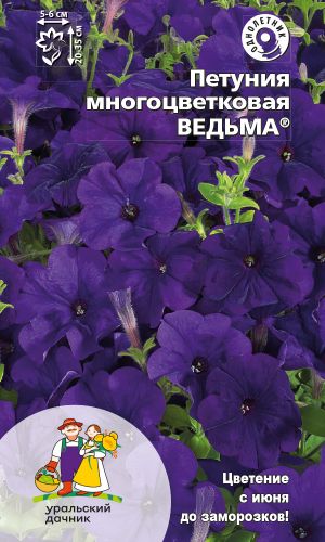 Петуния ВЕДЬМА