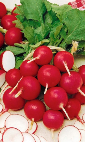 Редис ДЕНИС F1