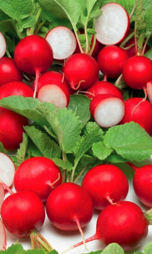 Редис УЛЬТРАСКОРОСПЕЛЫЙ