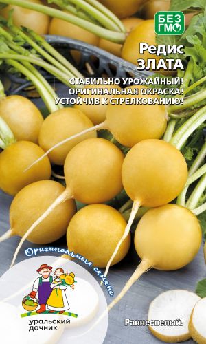 Редис ЗЛАТА