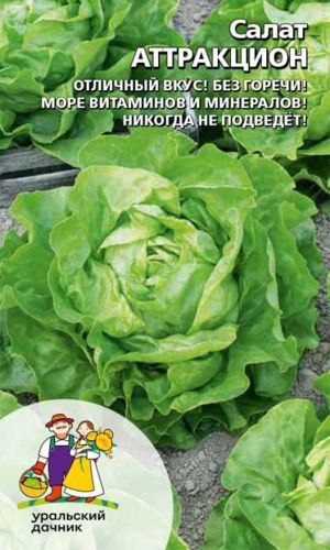 Салат АТТРАКЦИОН