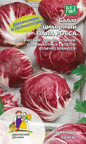 Салат цикорный ПАЛА РОССА