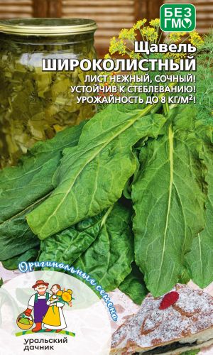 Щавель ШИРОКОЛИСТНЫЙ