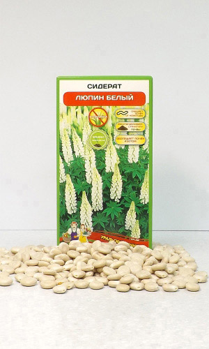 Сидерат ЛЮПИН БЕЛЫЙ 100 г