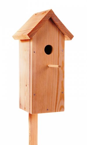 СИНИЧНИК &mdash; Наши первейшие помощники в борьбе с вредителями сада! Просто удивительно, какое количество вредных насекомых они уничтожают!