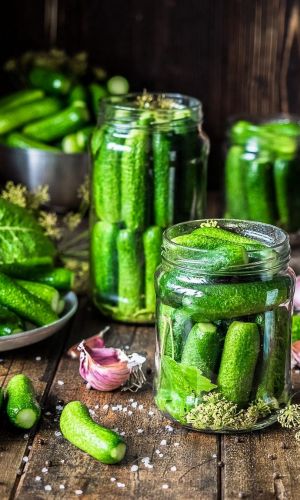 Специальный набор гибридов огурца ДЛЯ КОНСЕРВАЦИИ F1