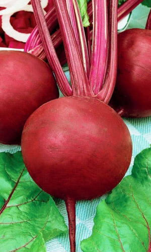 Свёкла ЦЫГАНКА