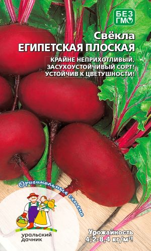 Свёкла ЕГИПЕТСКАЯ ПЛОСКАЯ