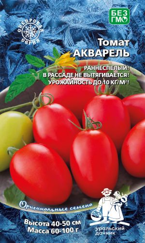 Томат АКВАРЕЛЬ &mdash; Сибирская селекция! В рассаде не вытягивается! Урожай до 10 кг/кв.м!