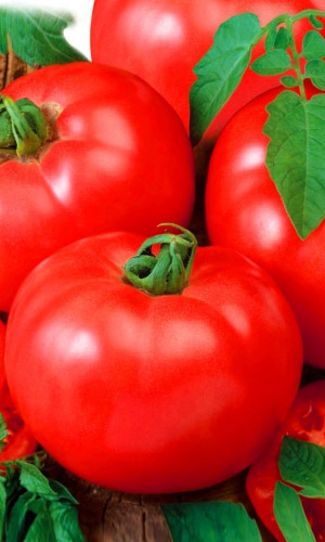 Томат АЛТАЙСКИЙ КРАСНЫЙ &mdash; Плоды настоящие великаны! Невиданная урожайность! Отменный вкус!