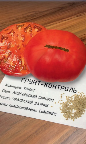 Томат АНДРЕЕВСКИЙ СЮРПРИЗ &mdash; Сибирская селекция! Массой до 900 г! Устойчив к фитофторе! Один из самых вкусных!