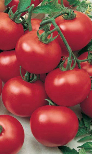 Томат АНДРОМЕДА F1 &mdash; Необыкновенно вкусен! Этот «дет» любому высокорослому томату фору даст! В урожайности не уступит!