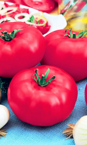 Томат БАКИНСКИЕ 622 &mdash; Сладкий, бархатистый вкус! Крайне неприхотлив! Мясистые плоды до 300 г!